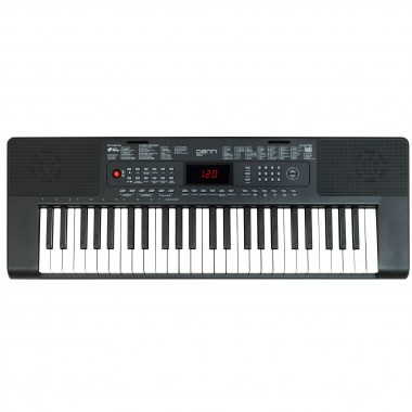 Denn DEK494 Клавишные синтезаторы с автоаккомпанементом