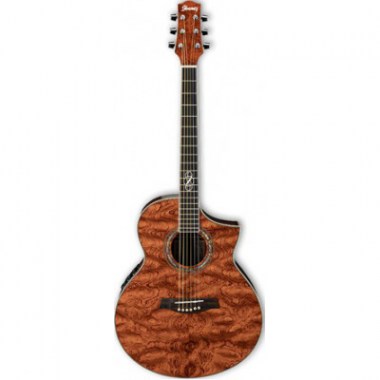 IBANEZ EW20BGE NATURAL Гитары акустические