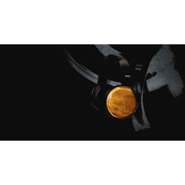 Fostex TH810 Различное Музыкальное Оборудование