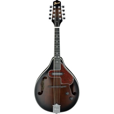 Ibanez M510E-DVS Народные инструменты