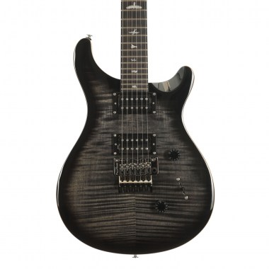 PRS SE Custom 24 Электрогитары