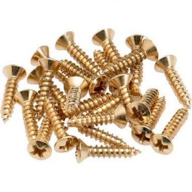 Fender Pickguard/Control Plate Mounting Screws (24) (Gold) Комплектующие для гитар