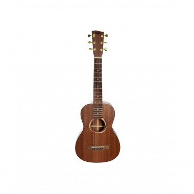 Poni TR2-3 Гитары акустические
