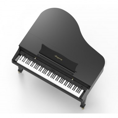 Ringway GDP6500 polish black Цифровые пианино