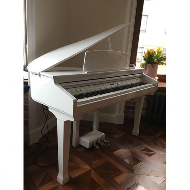 Orla 438PIA0633 Цифровые пианино