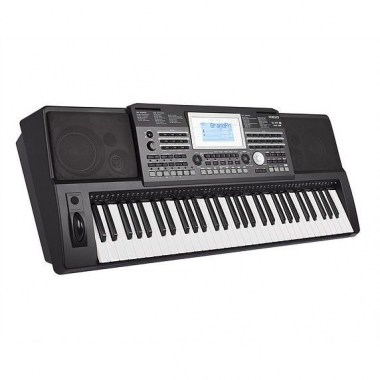 Medeli A810 Клавишные синтезаторы с автоаккомпанементом