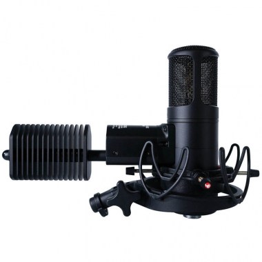Golden Age Premier GA-8000 Ламповые микрофоны