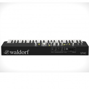 Waldorf STVC Клавишные аналоговые синтезаторы