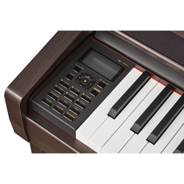 Becker BAP-62R Цифровые пианино