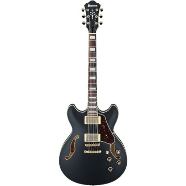 Ibanez AS73G-BKF Электрогитары