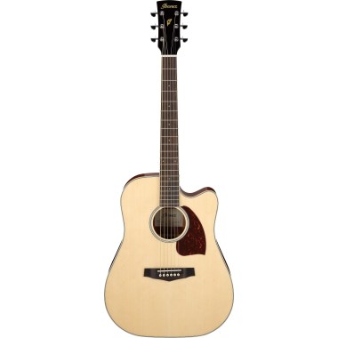Ibanez PF16WCE-NT Акустические гитары