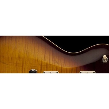 PRS Singlecut McCarty 594 McCarty Tobacco Sunburst Различное Музыкальное Оборудование