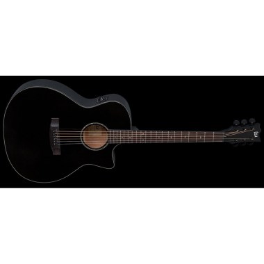 ESP LTD AA-300E Black Различное Музыкальное Оборудование