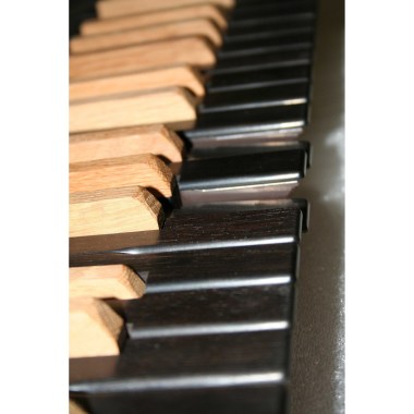 Viscount Single Keyboard (TP8) - wooden covered keys Различное Музыкальное Оборудование