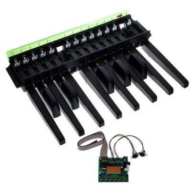 Doepfer MBP25 + 1x 13 Keys Bass-Pedal Различное Музыкальное Оборудование
