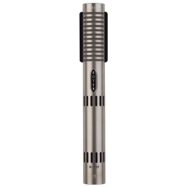 Royer Labs R-122V Tube Version Различное Музыкальное Оборудование