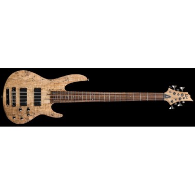 ESP LTD B-208SM Natural Satin Различное Музыкальное Оборудование