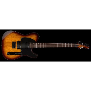 ESP LTD TE-200 Tobacco Sunburst Различное Музыкальное Оборудование