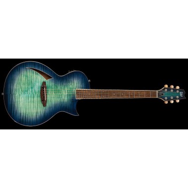 ESP LTD TL-6 Aqua Marine Burst Различное Музыкальное Оборудование