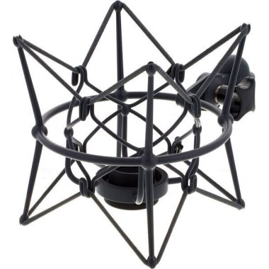 Neumann EA 89 A mt Различное Музыкальное Оборудование