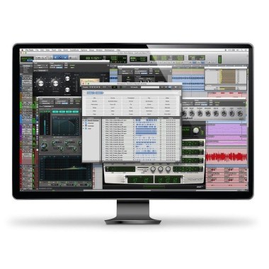 AVID Pro Tools | 384 Voice Perpetual Voice Pack Различное Музыкальное Оборудование