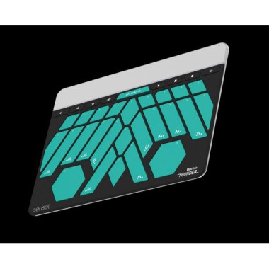 Sensel MORPH+THUNDER OVERLAY Bundle SEN-MORBTO Различное Музыкальное Оборудование