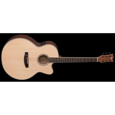ESP LTD AJ-310E Natural Satin Различное Музыкальное Оборудование