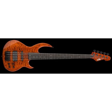 ESP LTD BB-1005 FRETLESS Burnt Orange Различное Музыкальное Оборудование