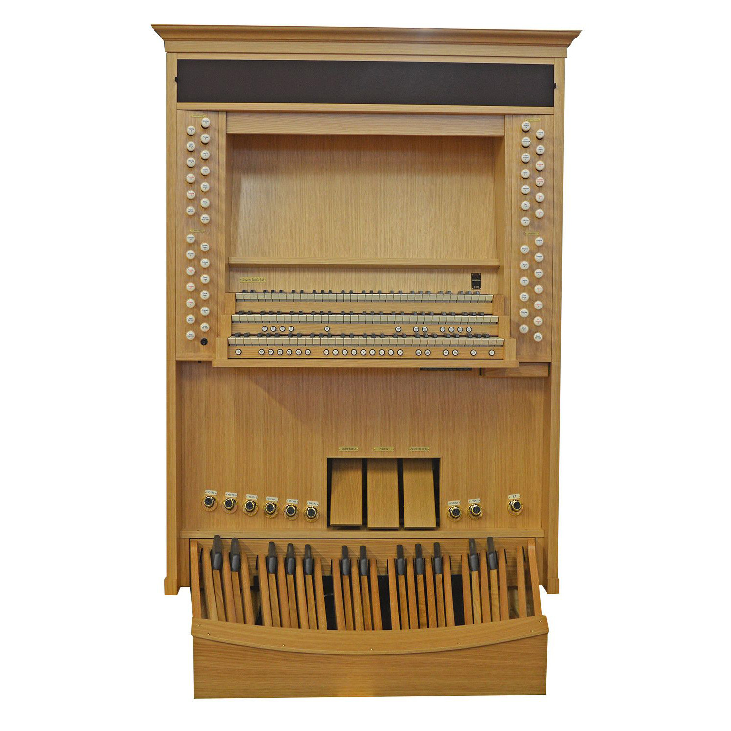 Viscount Organs SONUS P346 Viscount Organs SONUS P346 Различное Музыкальное Оборудование