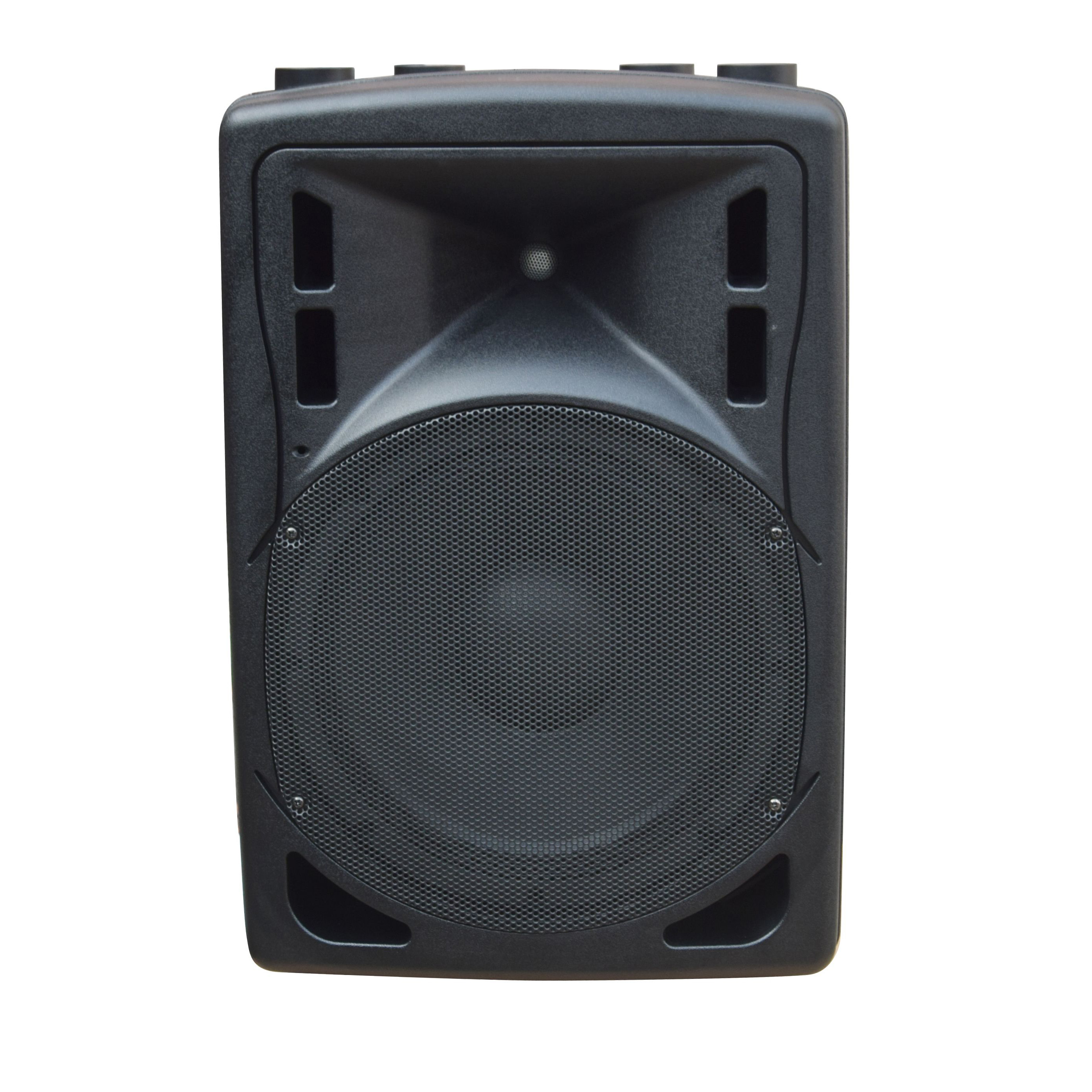 XLine BAF-12A XLine BAF-12A Клубная и концертная акустика