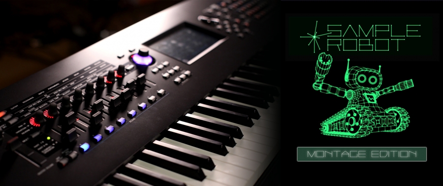 SampleRobot Pro: автоматическая генерация сэмплерных библиотек для Yamaha Montage (NAMM 2018)